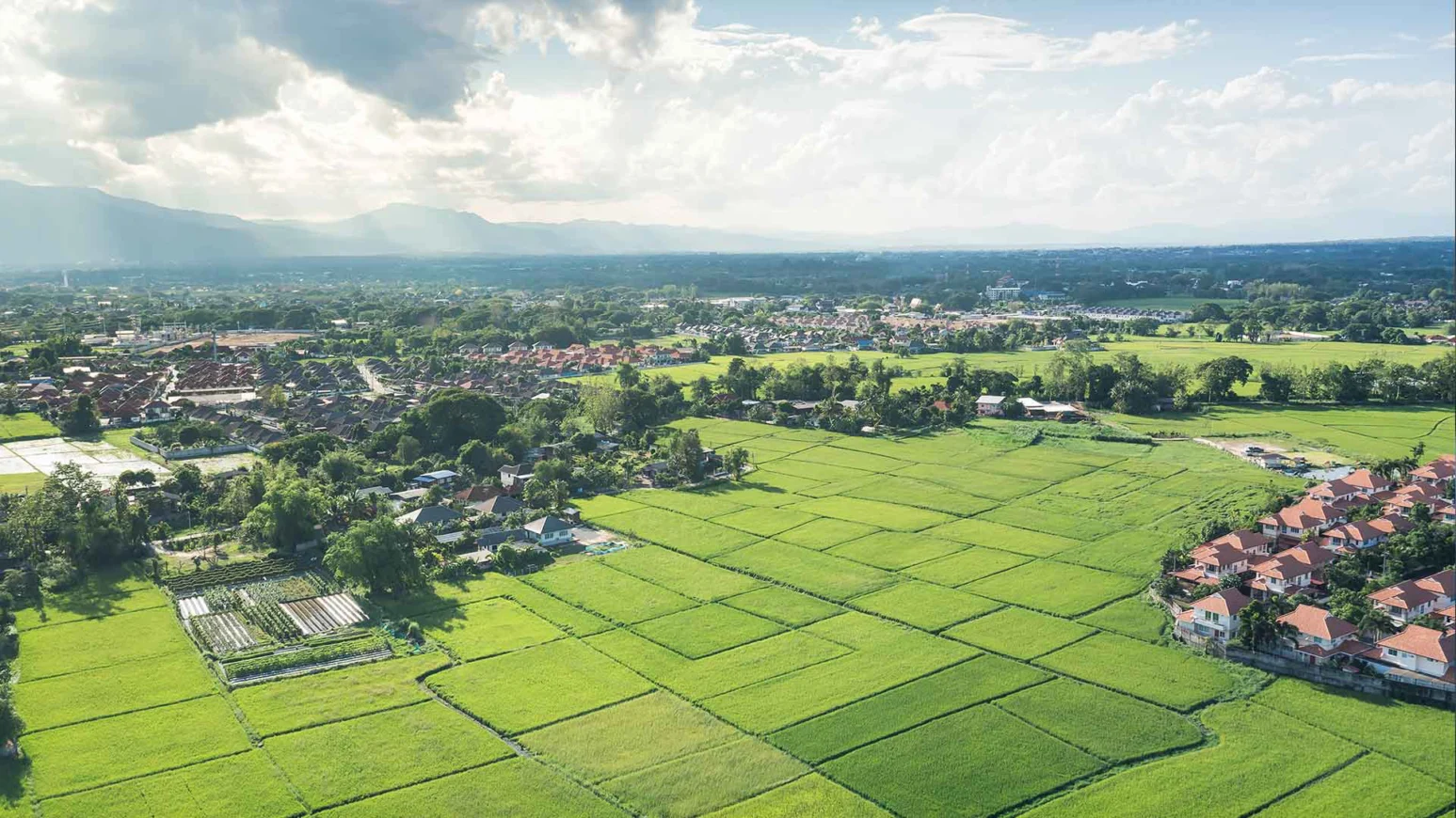 Landschaft